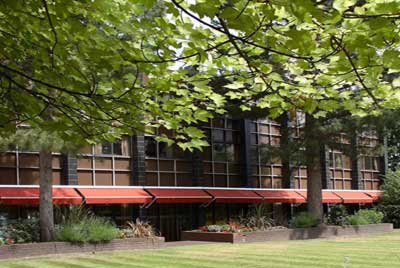 Menzies Pinewood